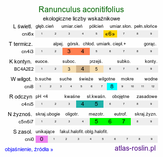 ekologiczne liczby wskaźnikowe Ranunculus aconitifolius (jaskier tojadolistny)