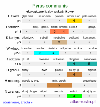 ekologiczne liczby wskaźnikowe Pyrus communis s.l. (grusza pospolita)
