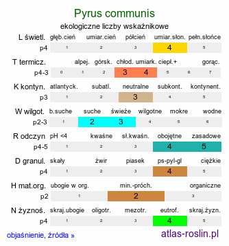 ekologiczne liczby wskaźnikowe Pyrus communis (grusza pospolita)