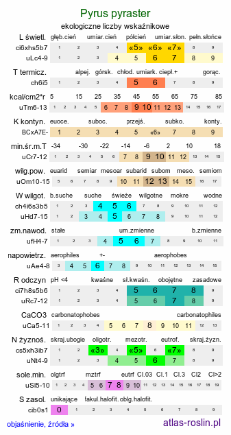 ekologiczne liczby wskaźnikowe Pyrus pyraster (grusza polna)