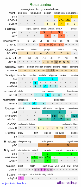 ekologiczne liczby wskaźnikowe Rosa canina (róża dzika)