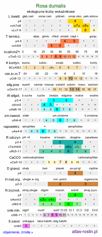 ekologiczne liczby wskaźnikowe Rosa dumalis (róża sina)