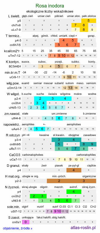 ekologiczne liczby wskaźnikowe Rosa inodora (róża eliptyczna)