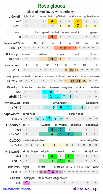 ekologiczne liczby wskaźnikowe Rosa glauca (róża czerwonawa)