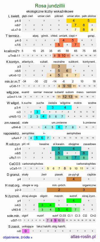 ekologiczne liczby wskaźnikowe Rosa jundzillii (róża Jundziłła)