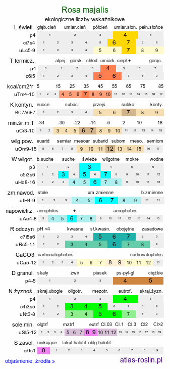 ekologiczne liczby wskaźnikowe Rosa majalis (róża girlandowa)