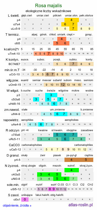 ekologiczne liczby wskaźnikowe Rosa majalis (róża girlandowa)