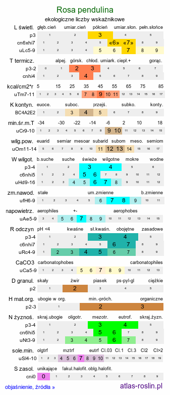 ekologiczne liczby wskaźnikowe Rosa pendulina (róża alpejska)
