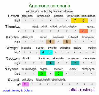 ekologiczne liczby wskaźnikowe Anemone coronaria (zawilec wieńcowy)