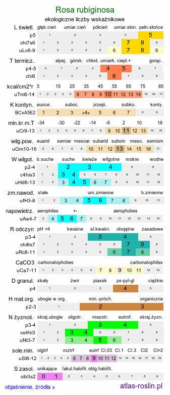 ekologiczne liczby wskaźnikowe Rosa rubiginosa (róża rdzawa)