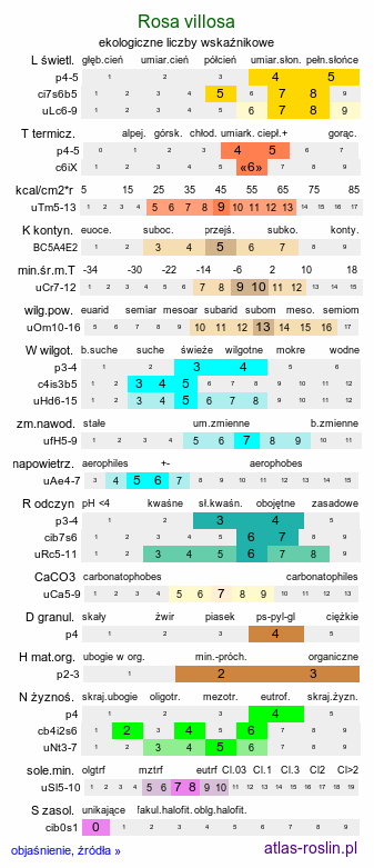 ekologiczne liczby wskaźnikowe Rosa villosa (róża jabłkowata)