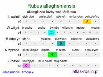 ekologiczne liczby wskaźnikowe Rubus allegheniensis (jeżyna alegańska)