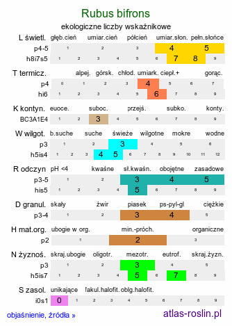 ekologiczne liczby wskaźnikowe Rubus bifrons (jeżyna dwubarwna)