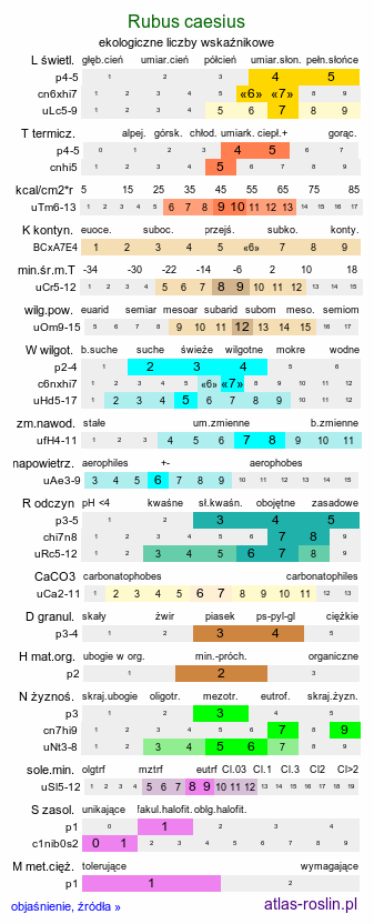 ekologiczne liczby wskaźnikowe Rubus caesius (jeżyna popielica)