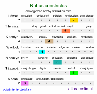 ekologiczne liczby wskaźnikowe Rubus constrictus (jeżyna Westa)