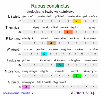 ekologiczne liczby wskaźnikowe Rubus constrictus (jeżyna Westa)