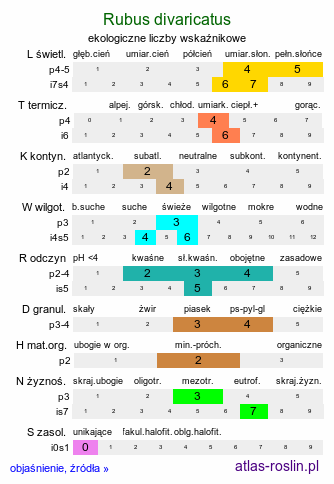 ekologiczne liczby wskaźnikowe Rubus divaricatus (jeżyna połyskująca)