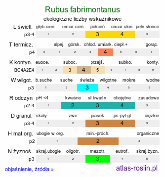 ekologiczne liczby wskaźnikowe Rubus fabrimontanus (jeżyna podgórska)