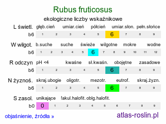 ekologiczne liczby wskaźnikowe Rubus fruticosus (jeżyna krzewiasta)