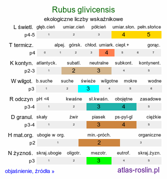 ekologiczne liczby wskaźnikowe Rubus glivicensis (jeżyna gliwicka)