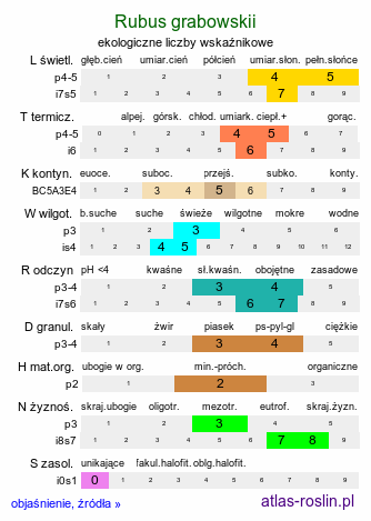ekologiczne liczby wskaźnikowe Rubus grabowskii (jeżyna bukietowa)