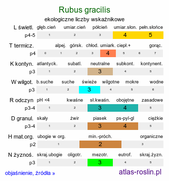 ekologiczne liczby wskaźnikowe Rubus gracilis (jeżyna ostręga)