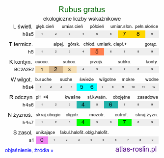 ekologiczne liczby wskaźnikowe Rubus gratus (jeżyna nadobna)