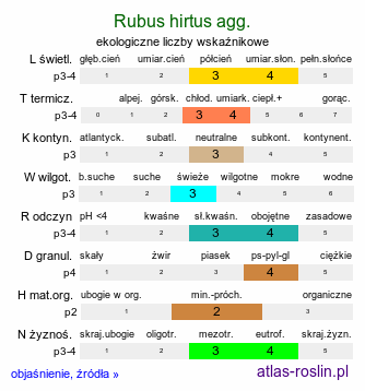 ekologiczne liczby wskaźnikowe Rubus hirtus agg. (jeżyna gruczołowata)