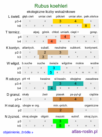 ekologiczne liczby wskaźnikowe Rubus koehleri (jeżyna Köhlera)