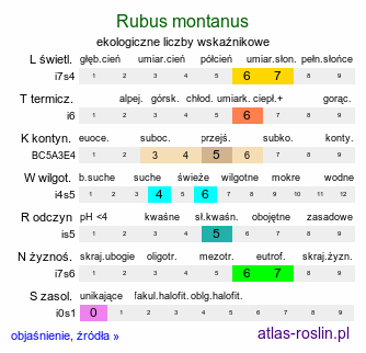 ekologiczne liczby wskaźnikowe Rubus montanus (jeżyna wąskolistna)