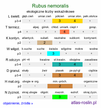 ekologiczne liczby wskaźnikowe Rubus nemoralis (jeżyna smukłokolcowa)