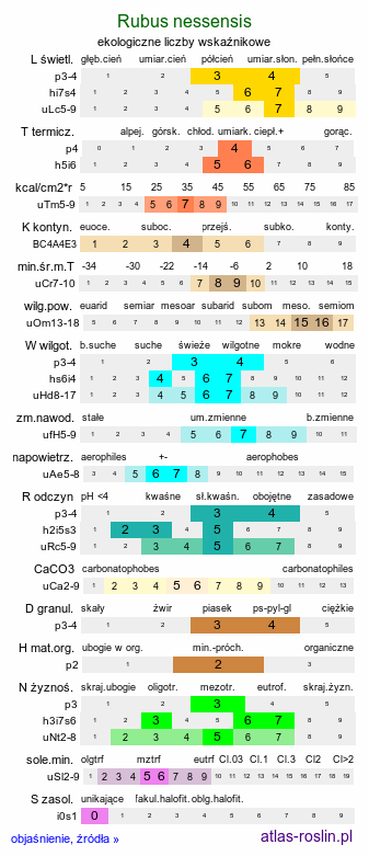 ekologiczne liczby wskaźnikowe Rubus nessensis (jeżyna lochneseńska)