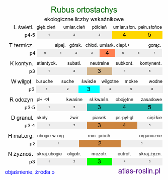 ekologiczne liczby wskaźnikowe Rubus ortostachys (jeżyna prostokwiatostanowa)