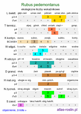 ekologiczne liczby wskaźnikowe Rubus pedemontanus (jeżyna Bellardiego)