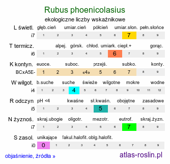 ekologiczne liczby wskaźnikowe Rubus phoenicolasius (jeżyna rdzawa)