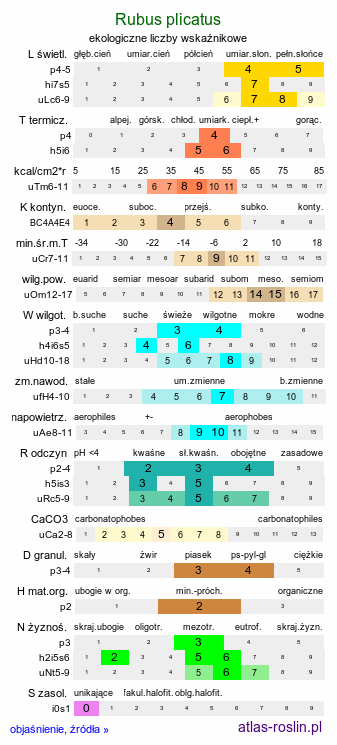 ekologiczne liczby wskaźnikowe Rubus plicatus (jeżyna fałdowana)