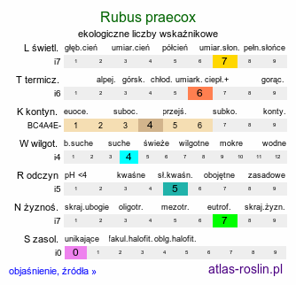 ekologiczne liczby wskaźnikowe Rubus praecox (jeżyna długopręcikowa)