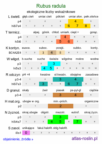 ekologiczne liczby wskaźnikowe Rubus radula (jeżyna szorstka)