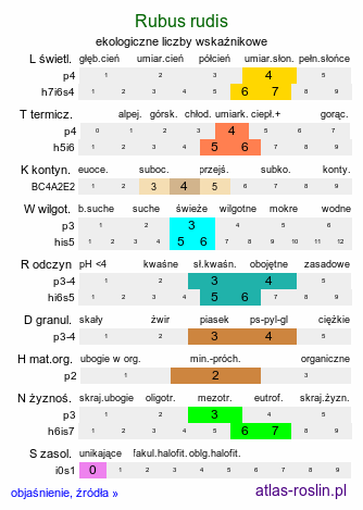 ekologiczne liczby wskaźnikowe Rubus rudis (jeżyna szczeciniasta)