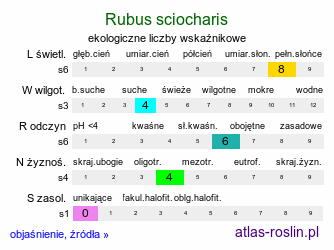 ekologiczne liczby wskaźnikowe Rubus sciocharis (jeżyna cienista)