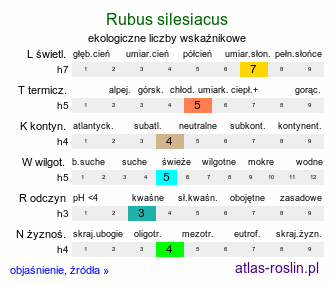 ekologiczne liczby wskaźnikowe Rubus silesiacus (jeżyna śląska)