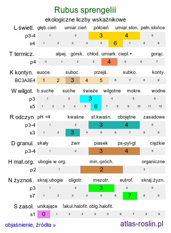 ekologiczne liczby wskaźnikowe Rubus sprengelii (jeżyna Sprengla)