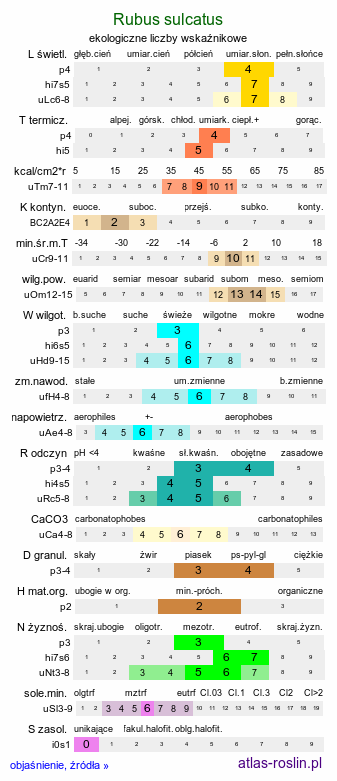 ekologiczne liczby wskaźnikowe Rubus sulcatus (jeżyna bruzdowana)