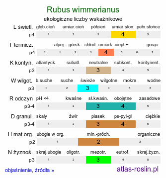 ekologiczne liczby wskaźnikowe Rubus wimmerianus (jeżyna Wimmera)