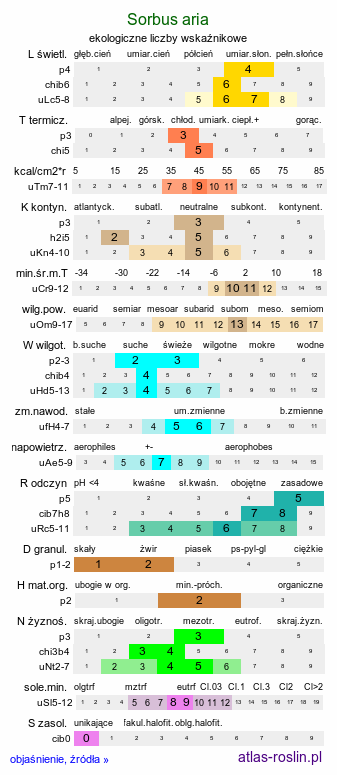 ekologiczne liczby wskaźnikowe Sorbus aria (jarząb mączny)