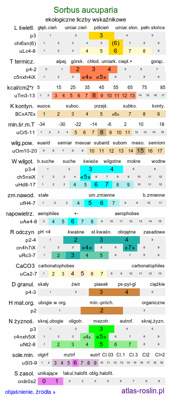 ekologiczne liczby wskaźnikowe Sorbus aucuparia (jarząb pospolity)