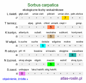 ekologiczne liczby wskaźnikowe Sorbus carpatica (jarząb karpacki)