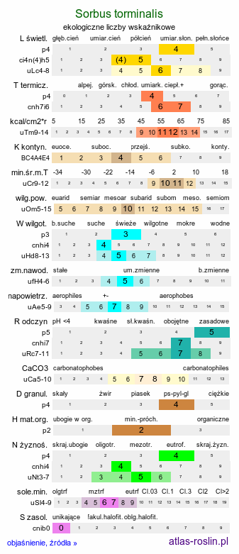 ekologiczne liczby wskaźnikowe Sorbus torminalis (jarząb brekinia)