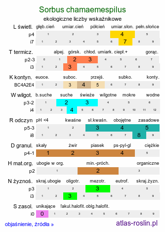 ekologiczne liczby wskaźnikowe Sorbus chamaemespilus (jarząb nieszpułkowy)