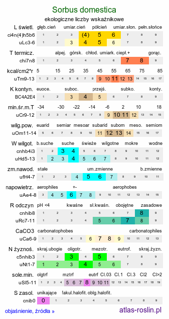 ekologiczne liczby wskaźnikowe Sorbus domestica (jarząb domowy)